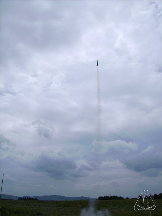 2013 Suche 29062013 Olivera